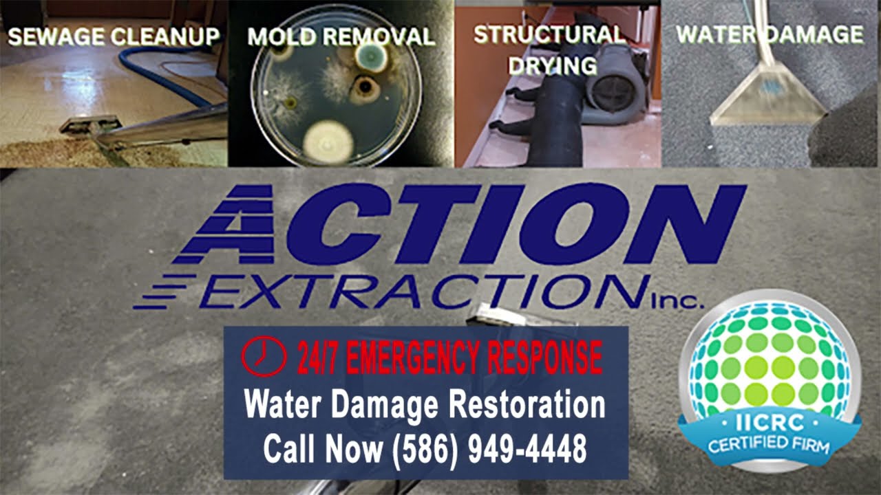 Water Damage Restoration Cleanup in New Baltimore, Michigan | Action Extraction Inc