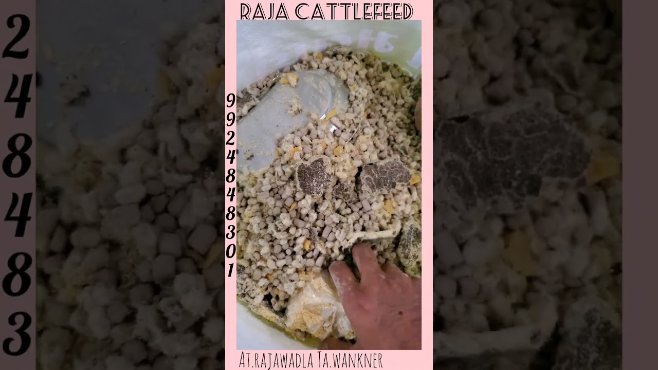 RAJA CATTLEFEED NEW PRODUCT 5000 BAG