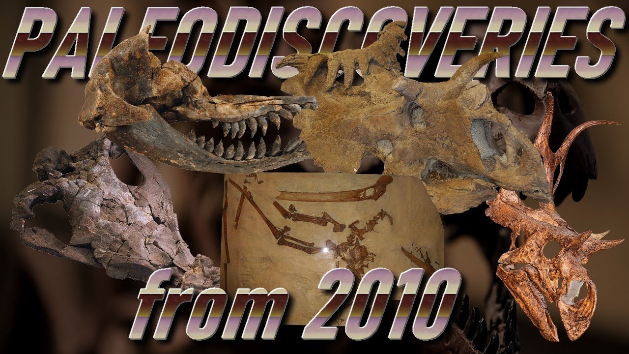 PALEO-DISCOVERIES from 2010
