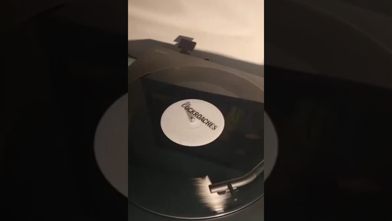 Cockroaches - Rough & Twisted