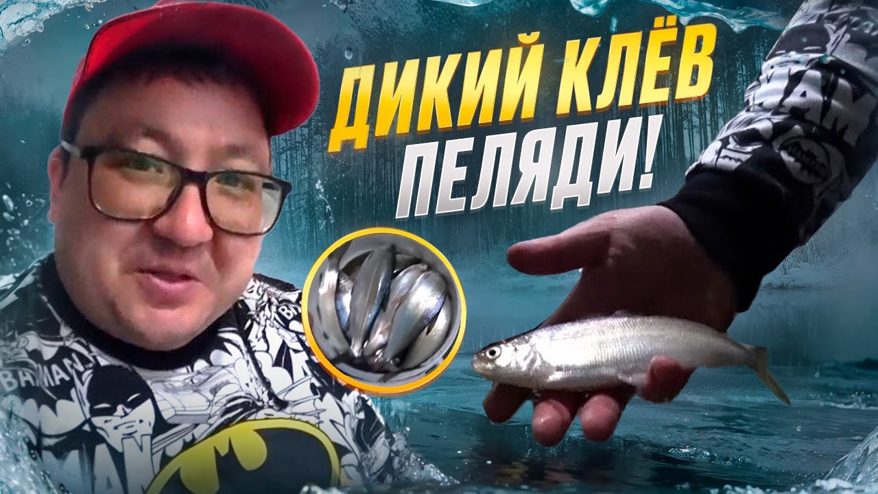 ВОТ ЭТО РЫБАЛКА!!!  СТОЛЬКО ПЕЛЯДИ, Я ЕЩЕ НЕ ЛОВИЛ. БЕШЕНЫЙ КЛЕВ ПЕЛЯДИ ЗИМОЙ.