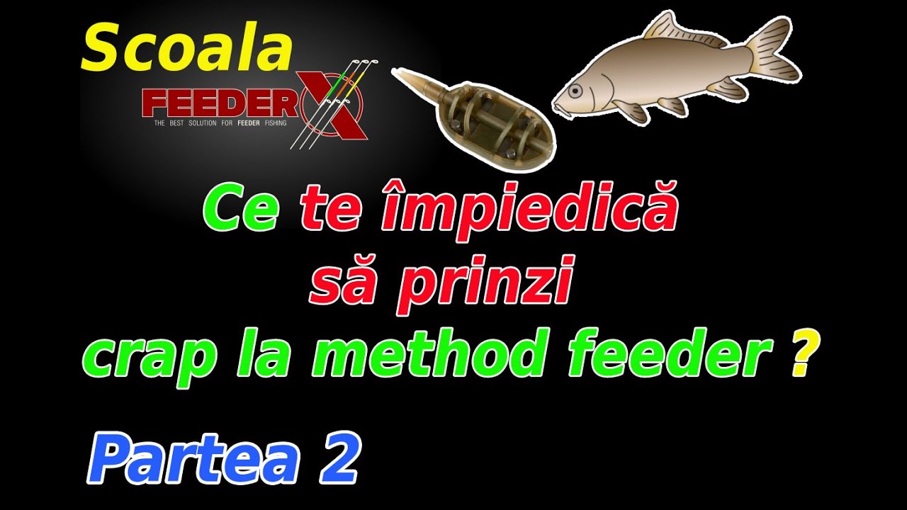 What's keeping you from catching carp on a method feeder? Part 2
