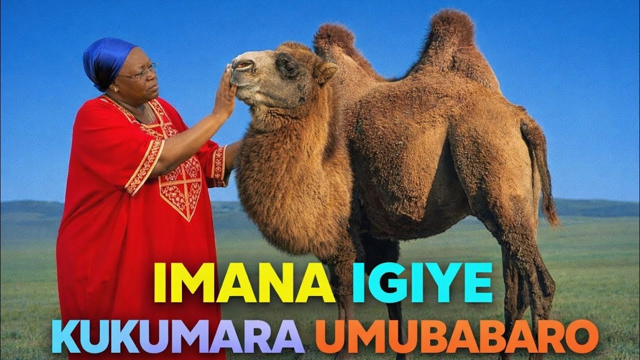 IBIHE BIBI UNYURAMO NTIBIKAGUTERE GUKIRANIRWA IMBERE Y'IMANA⁉️