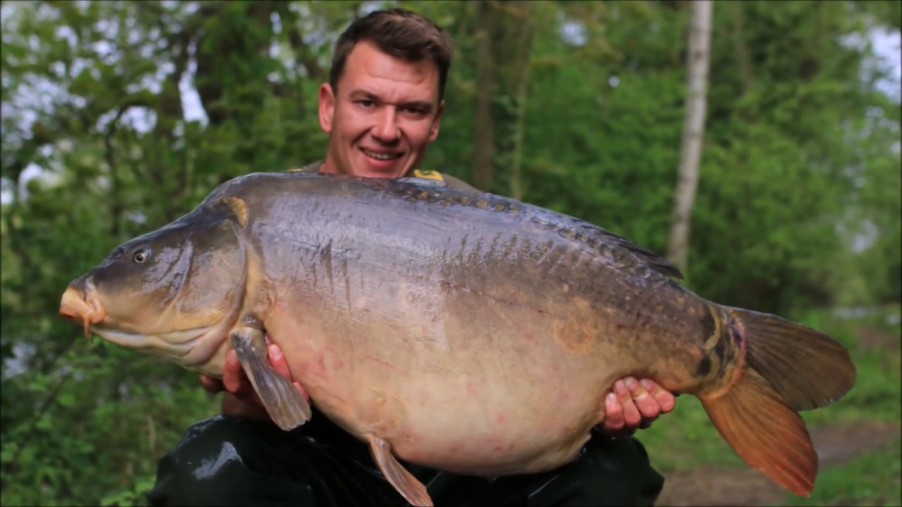 RidgeMonkey Pro Greg Ellis banks Kingsmead Island Lake's 