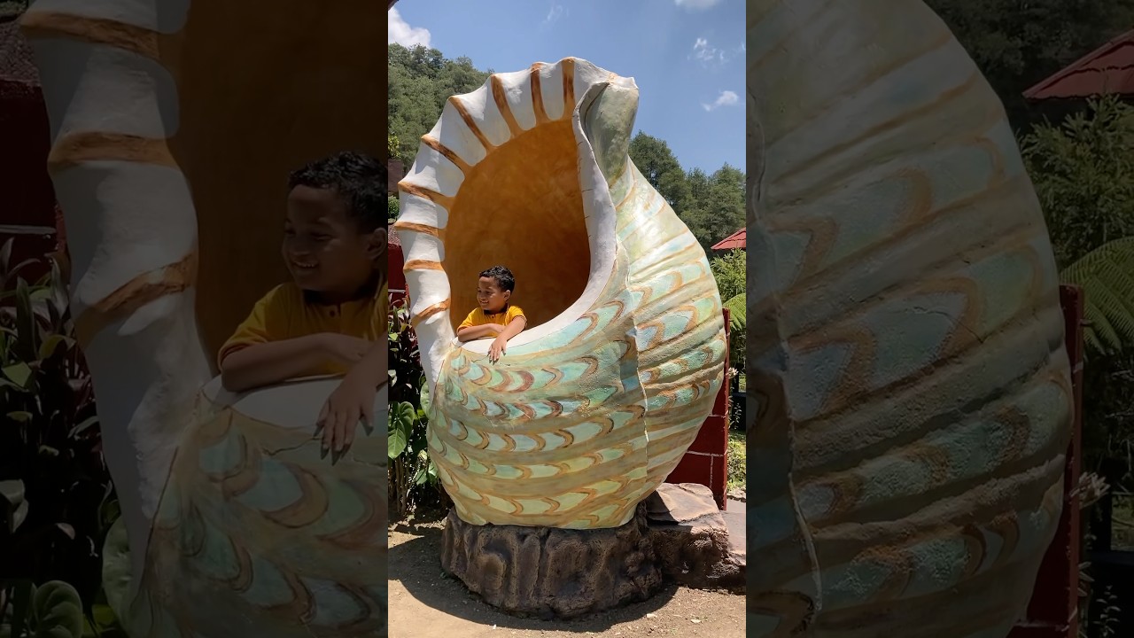 #crab #humor #comedy #kepiting #kelomang #shorts