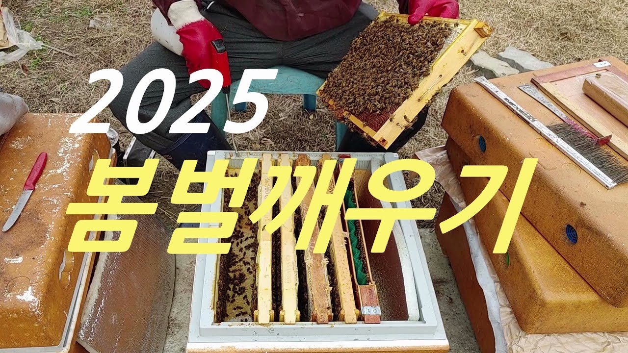 2025 봄벌깨우기.