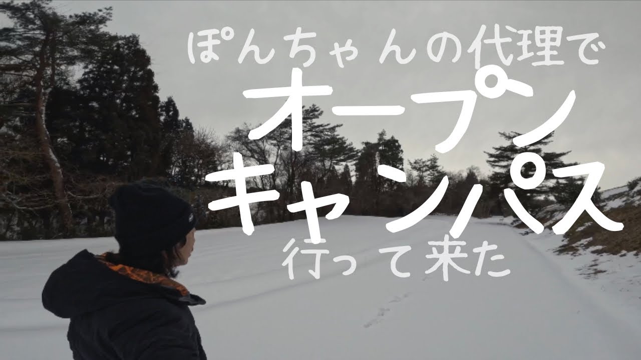 【たぬき保護】ぽんちゃんの帰る山の下見 & 山へ放すタイミングはいつなのかご意見聞きたいです