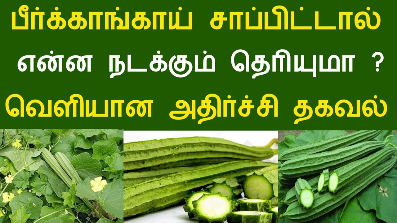 பீர்க்காங்காய் சாப்பிட்டால் என்ன நடக்கும் தெரியுமா ? வெளியான அதிர்ச்சி தகவல் #aramjothidam #food