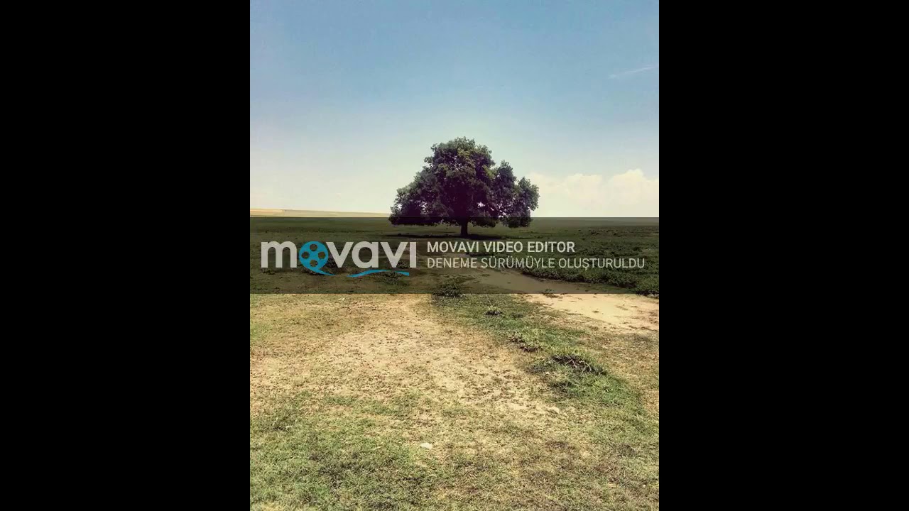 Ozan Manas - Payiz