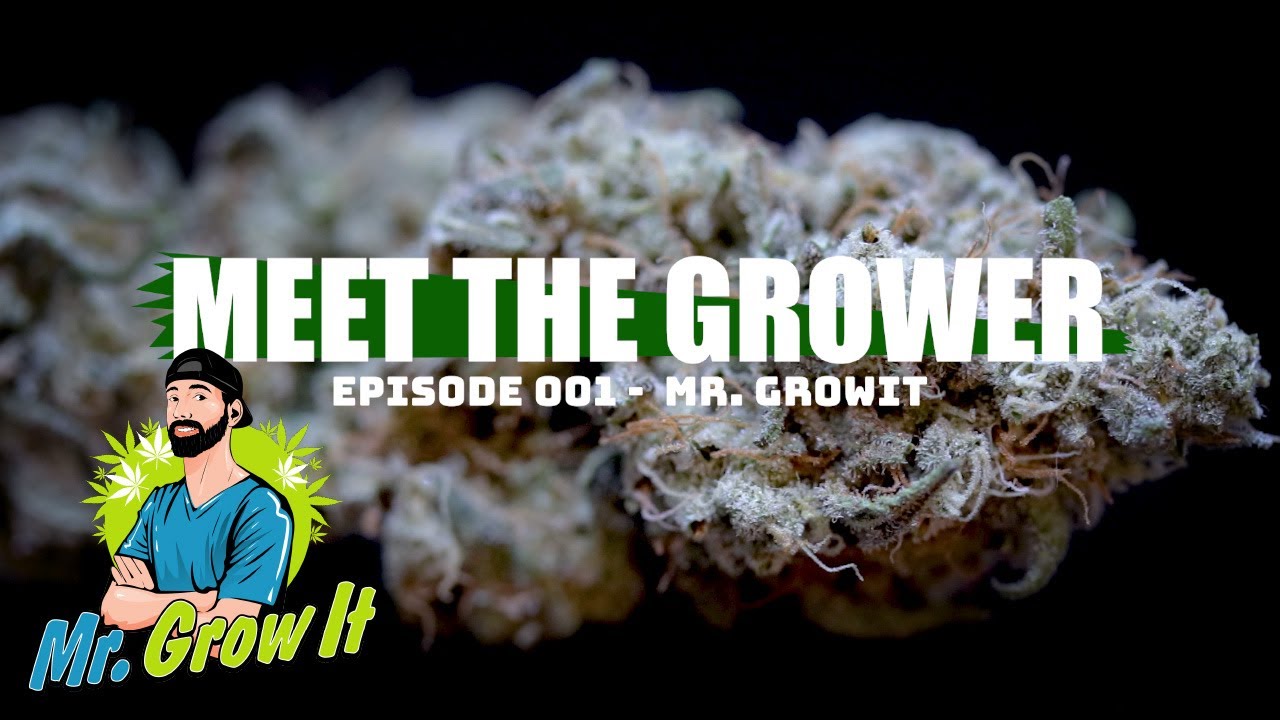 Meet the Grower Ep. 001 - Mr. Grow It