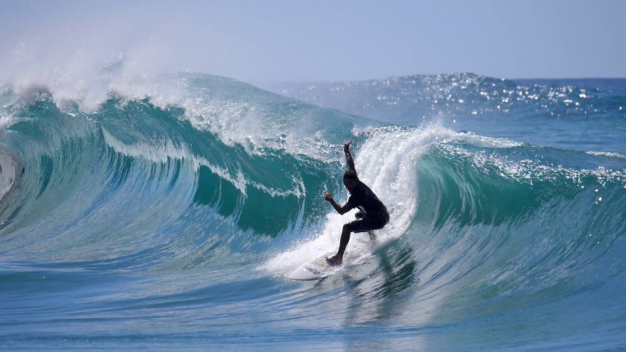 Best Of Nautimages 2020