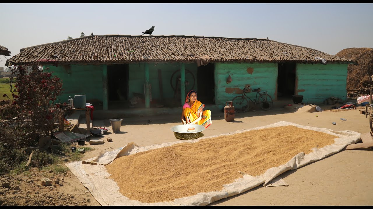 Living A Village Life In Terai Region | Daily Countryside Life | Rural Village Nepal | #SarlahiNepal
