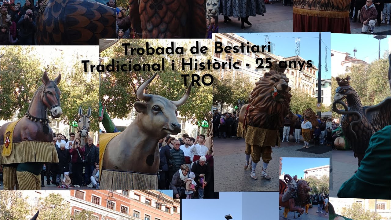 Trobada de Bestiari Tradicional i Històric - 25 anys TRO (15/12/24)