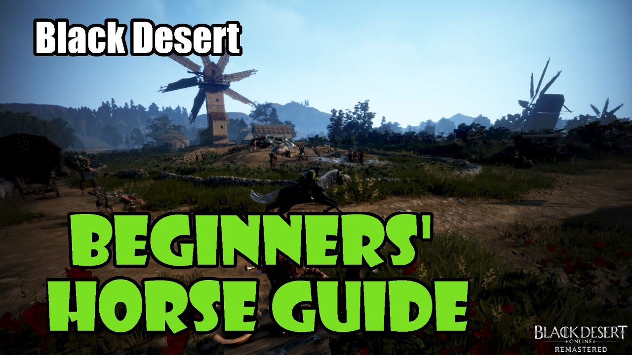 [Black Desert] Beginners' Horse Guide | Buying, Taming, Gearing, Best Skills, How to Get
