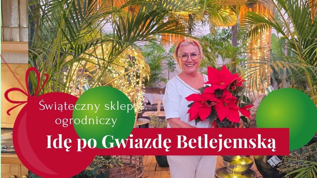 Idę po Gwiazdę Betlejemską / Świąteczny sklep ogrodniczy , przegląd dekoracji