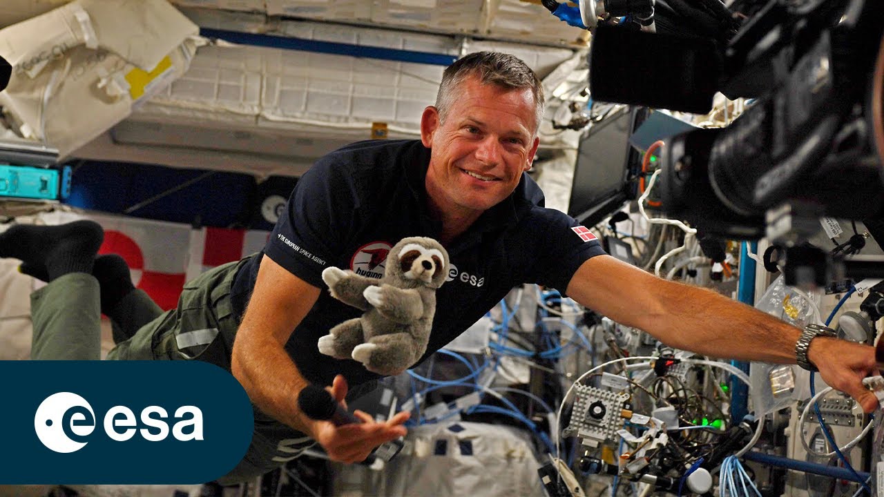 The first steps of the Huginn mission