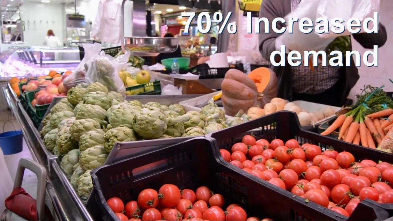 Crop Inspection With Minimal Human Intervention - University of Manchester MEng Project