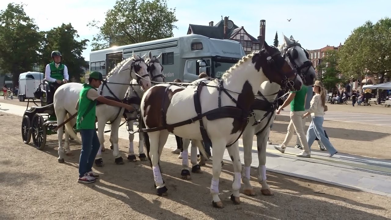 Museumplein Polo Amsterdam 2023 met presentatie Bram Chardon  Europees Kampioen Vierspan