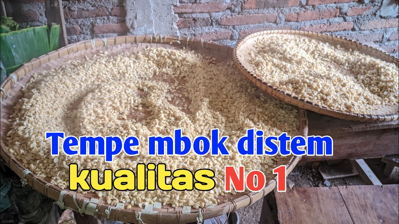 CARA PEMBUATAN TEMPE KEDELAI | IDE JUALAN LARIS