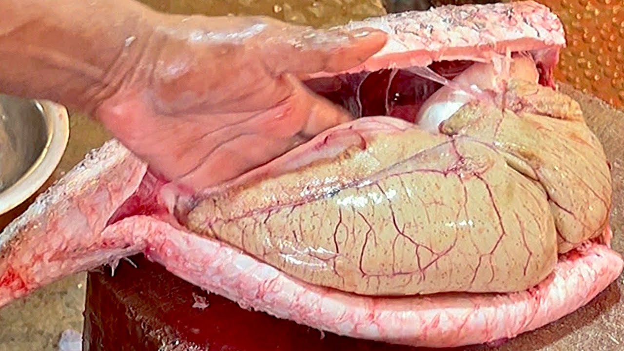 Fish Eggs Collections | Big Rohu Fish Cutting & Chopping By Expert Fish Cutter