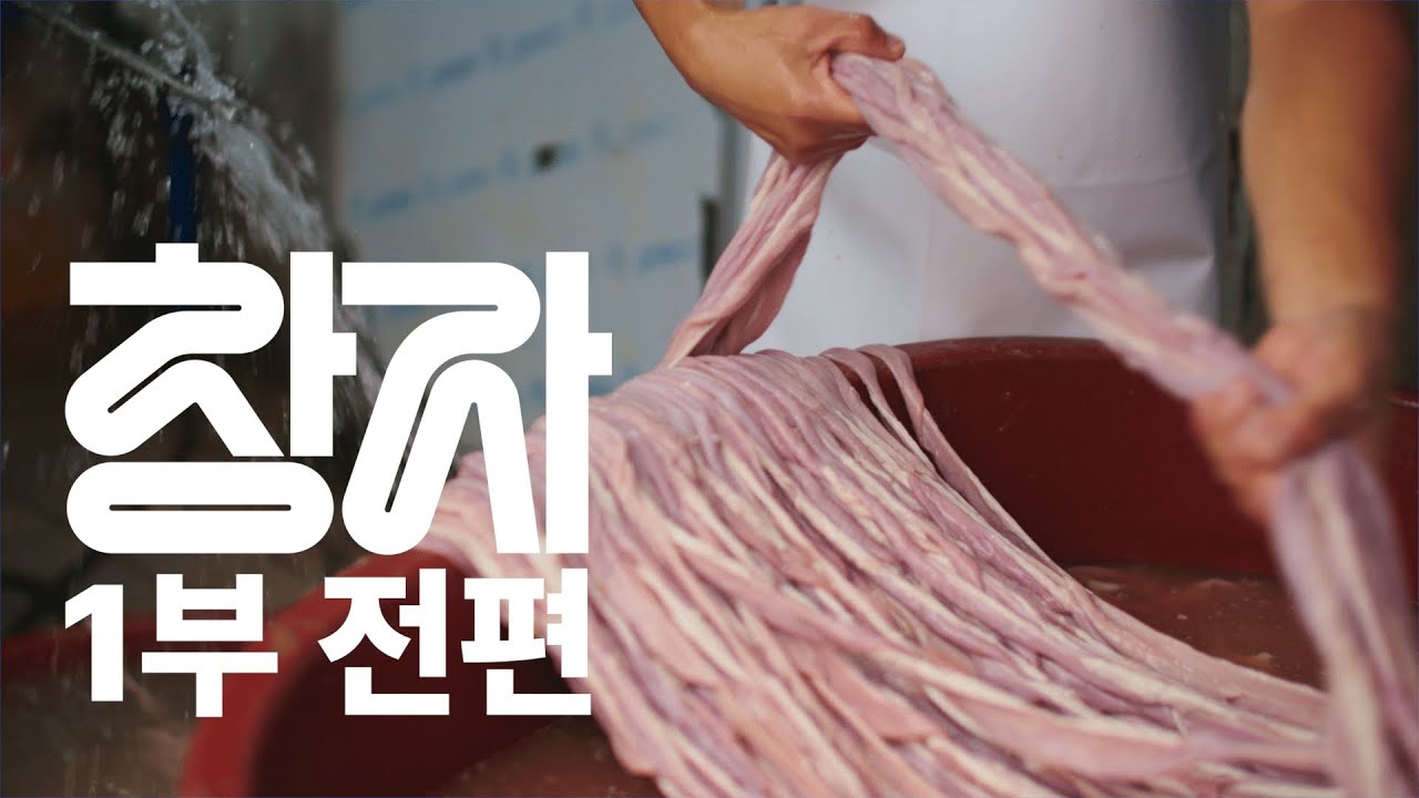 창자 | 사연 없는 창자 요리는 없다 | 1부 우리들의 창자 | MBC경남
