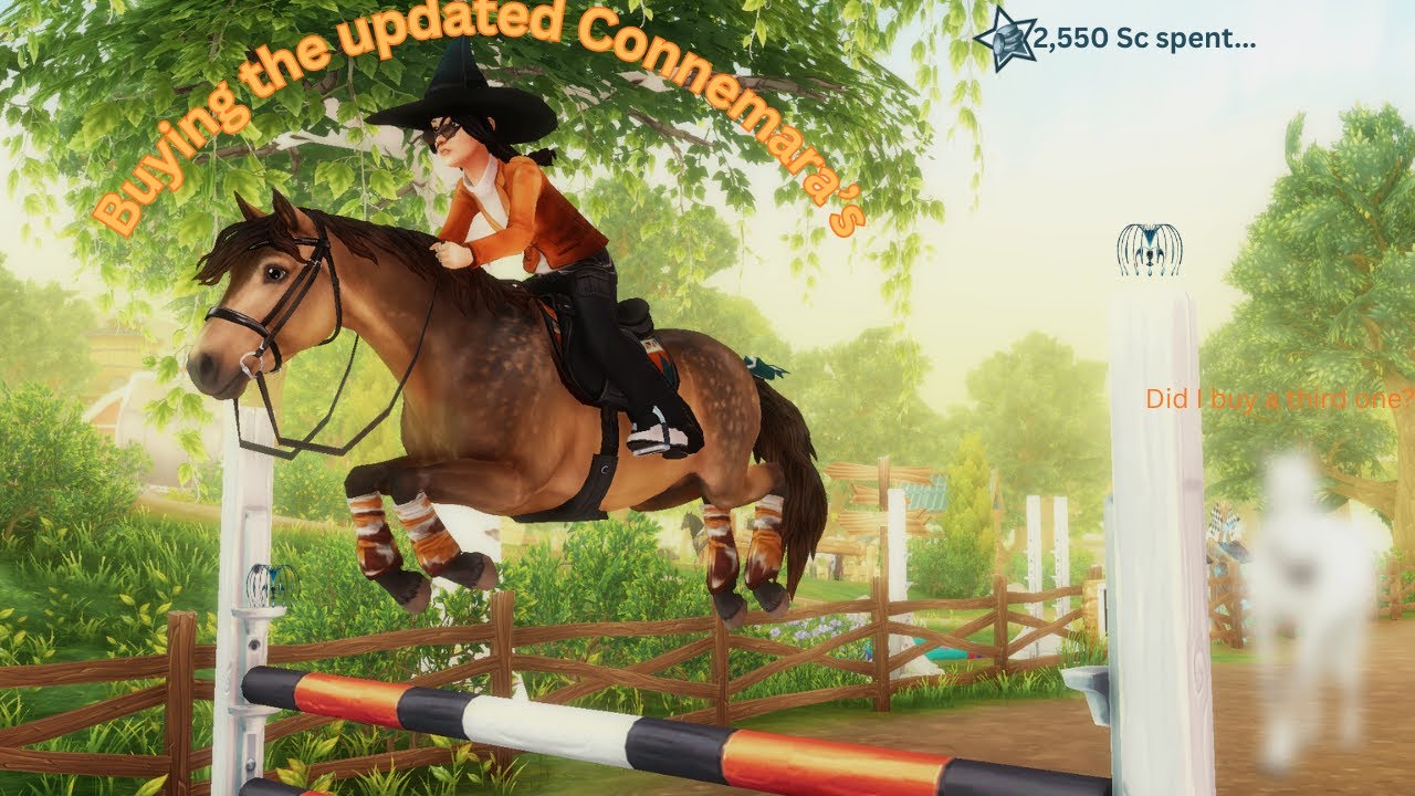 Buying the Updated Connemara's || Feat. Constanza Sharkford ||