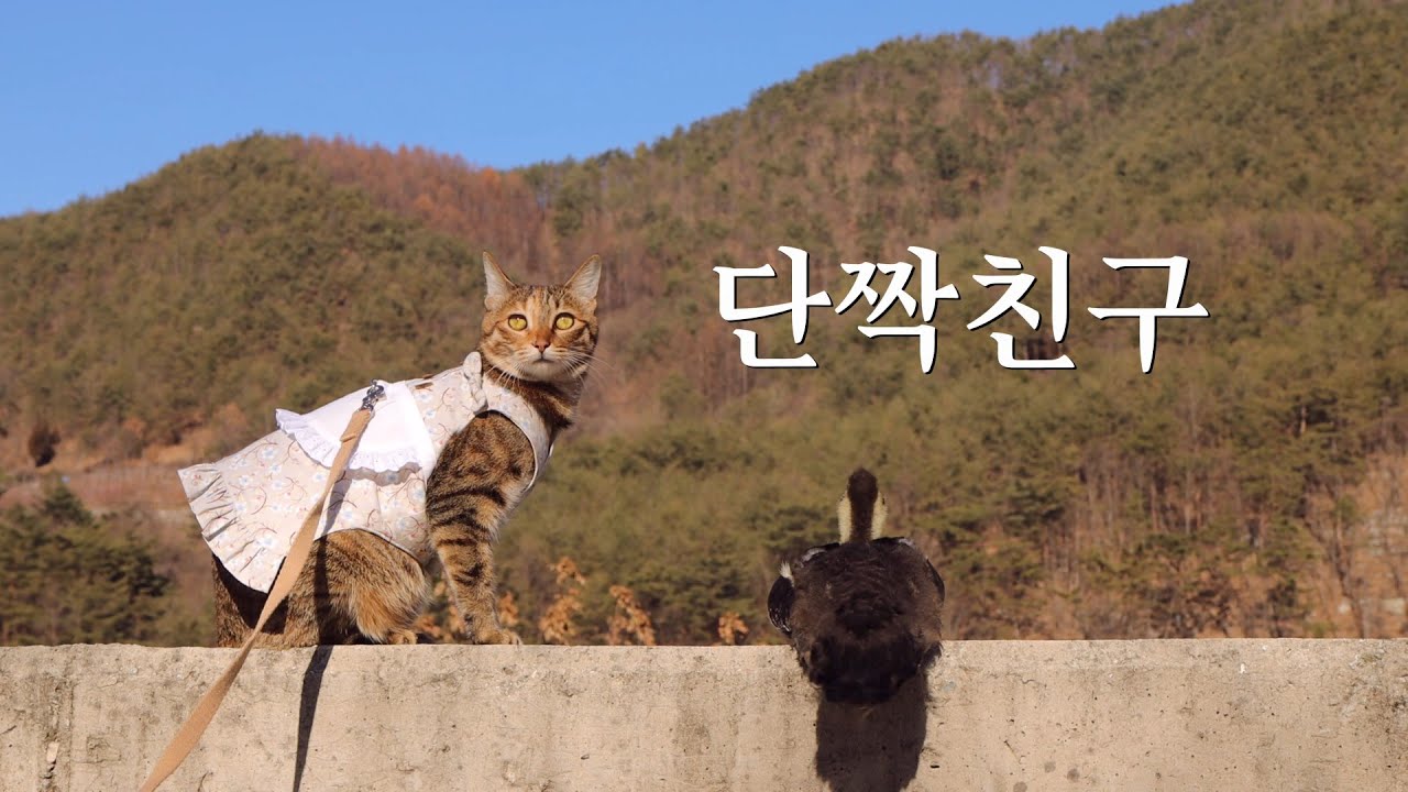 🍒옆에 없으면 서운한 사이