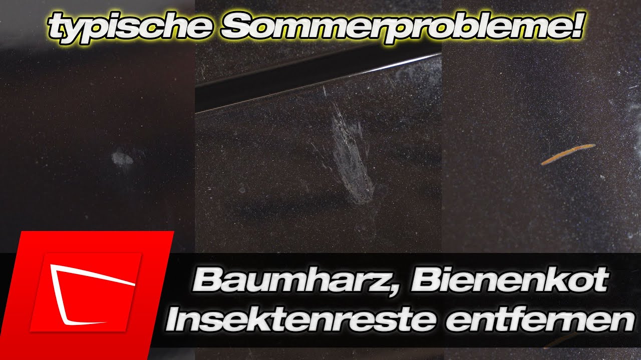 Baumharz, Bienenkot und eingebrannte Insekten entfernen ohne Lösemittelohnmacht - ADBL Tar&Glue Test