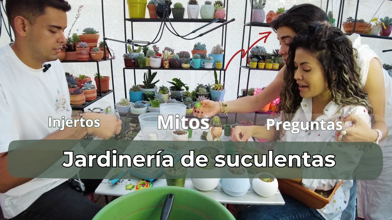 DE TODO con TODO, MITOS, SUSTRATOS, TRASPLANTE...