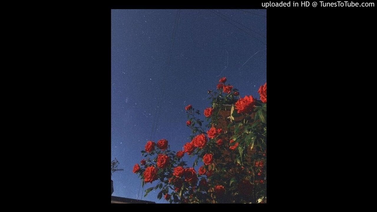 pyrex whippa - joe n love (slowed + reverb)