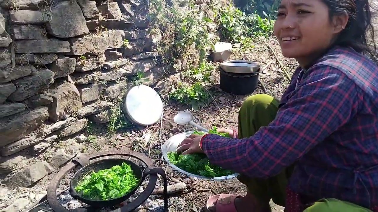 कार्तिमा छरेको तोरी फागुन सम्म खाने हुन्छ!🤢kabitavlogs3..