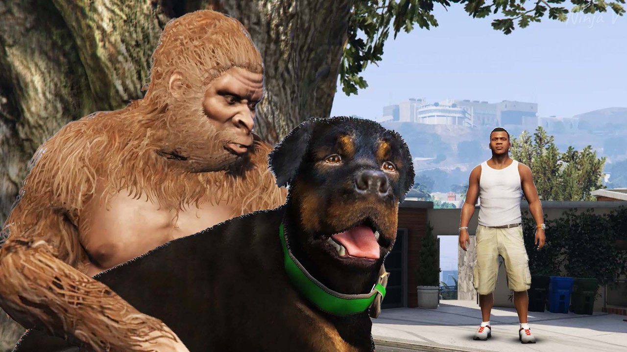 GTA V - Franklin Saves Bigfoot But...