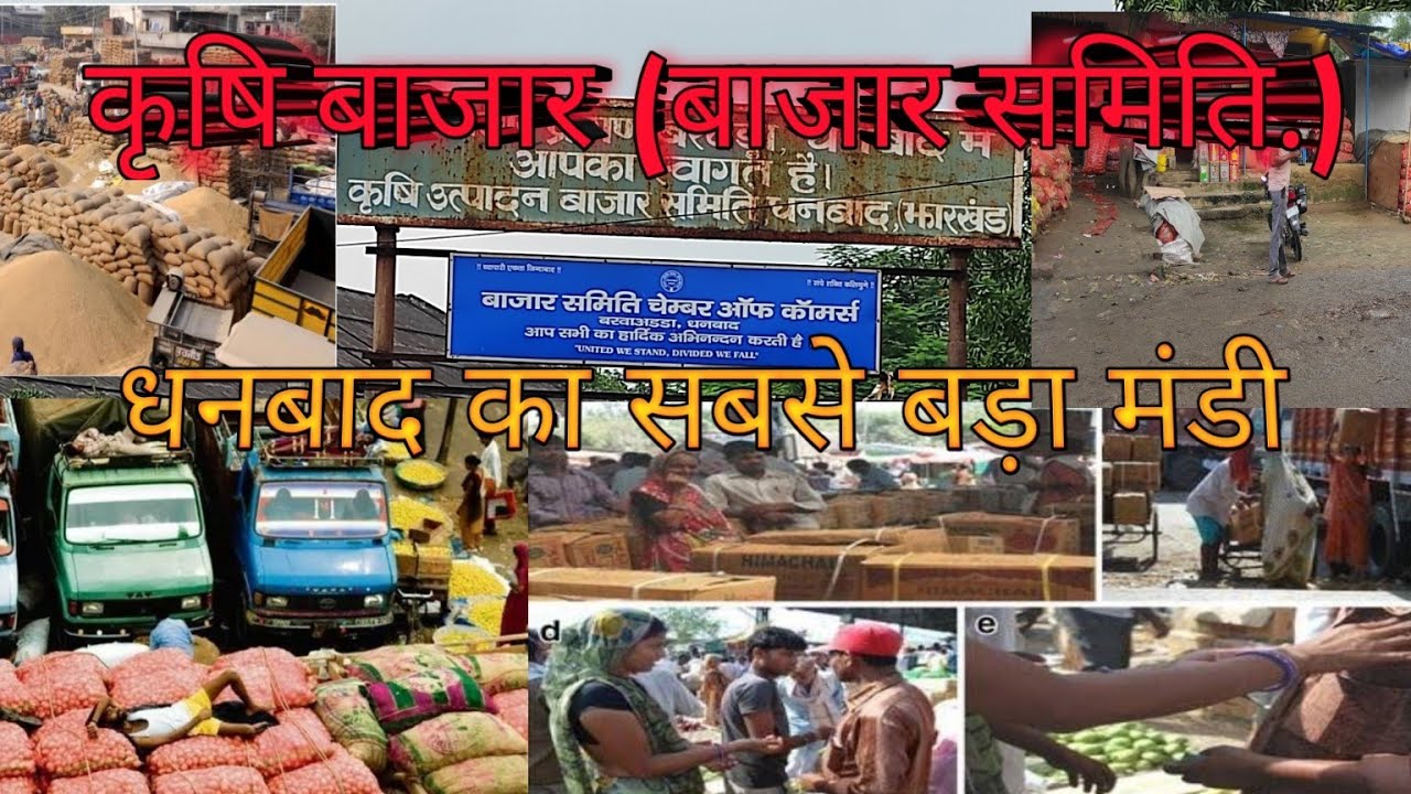 KRISHI BAZAR DHANBAD | Bazar SAMITI DHANBAD | धनबाद का सबसे बड़ा मंडी बाजार समिति |कृषि बाजार धनबाद