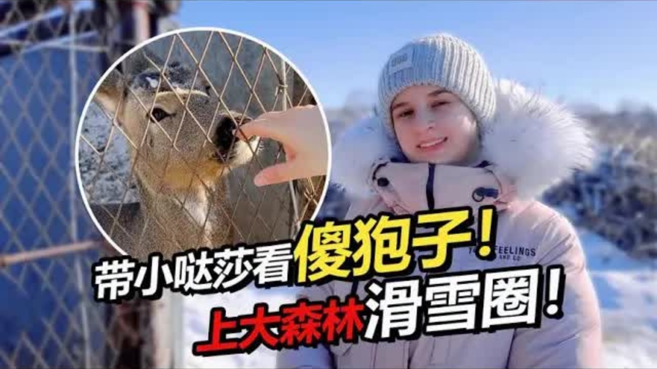 俄罗斯媳妇第一次看东北神兽傻狍子 大桥滑雪满地牛粪？