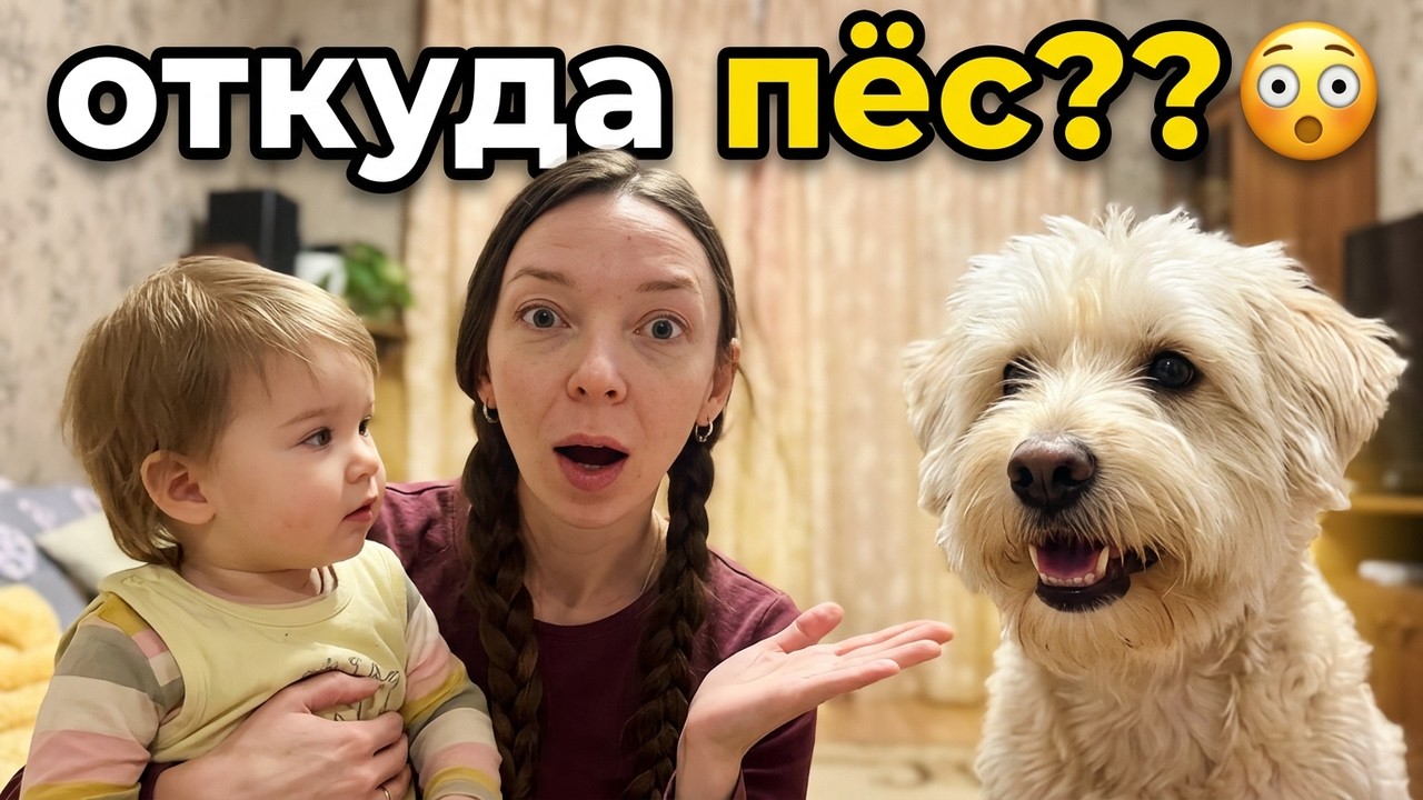 День с ребенком по часам / Взяла собаку? / Плановый осмотр в поликлинике в годик/ Лечение по ОМС