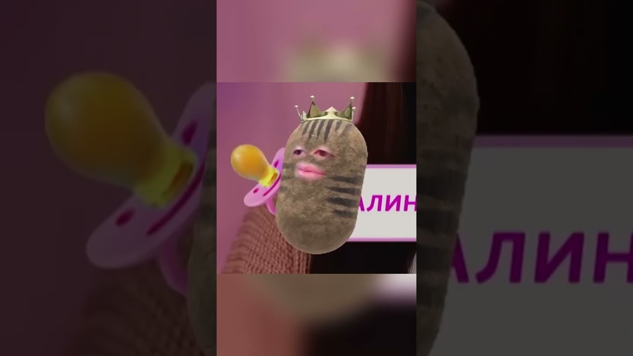 Моменты со стрима #sledovatel #sleduck #rera #reraseal  #vtuber #мем #мемы #юмор #twitch #нарезки
