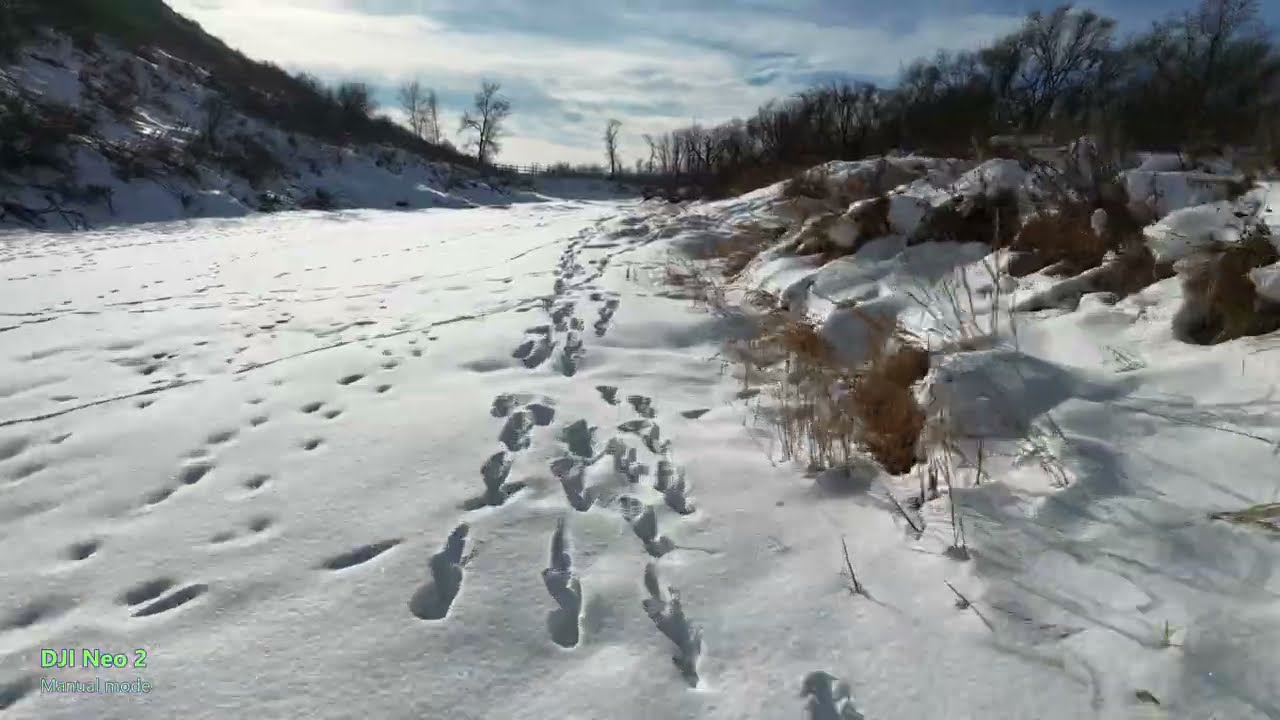 Neo 2 Following footprints in the snow, and a train bridge.