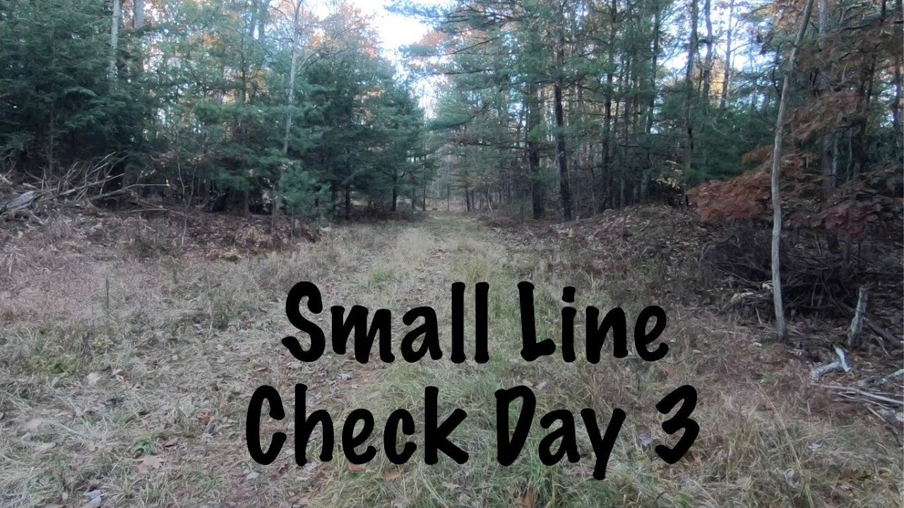 Отлов хищников в Пенсильвании, 2025–26, эпизод 3 