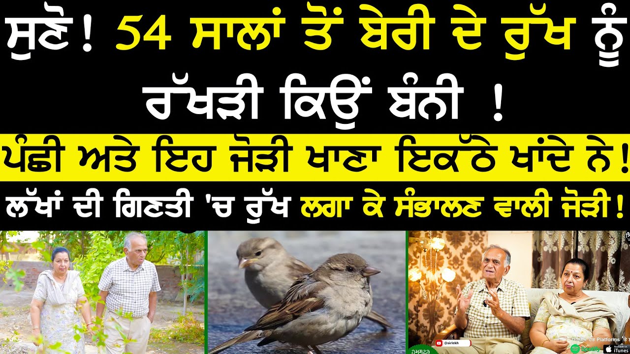 ਸੁਣੋ! 54 ਸਾਲਾਂ ਤੋਂ ਬੇਰੀ ਦੇ ਰੁੱਖ ਨੂੰ ਰੱਖੜੀ ਕਿਉਂ ਬੰਨੀ | surinderpal kaushal humsafar shusma | sirlekh