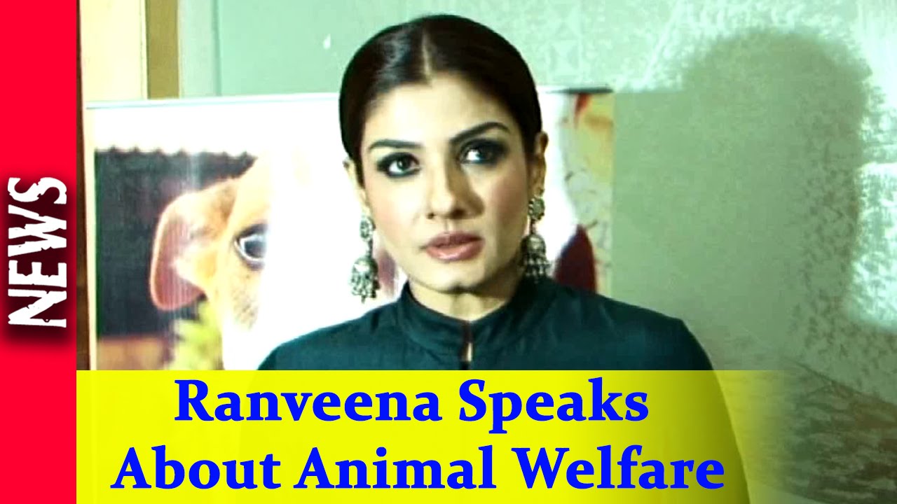 Latest Bollywood News - Raveena Talks About IDA - Bollywood Gossip 2016