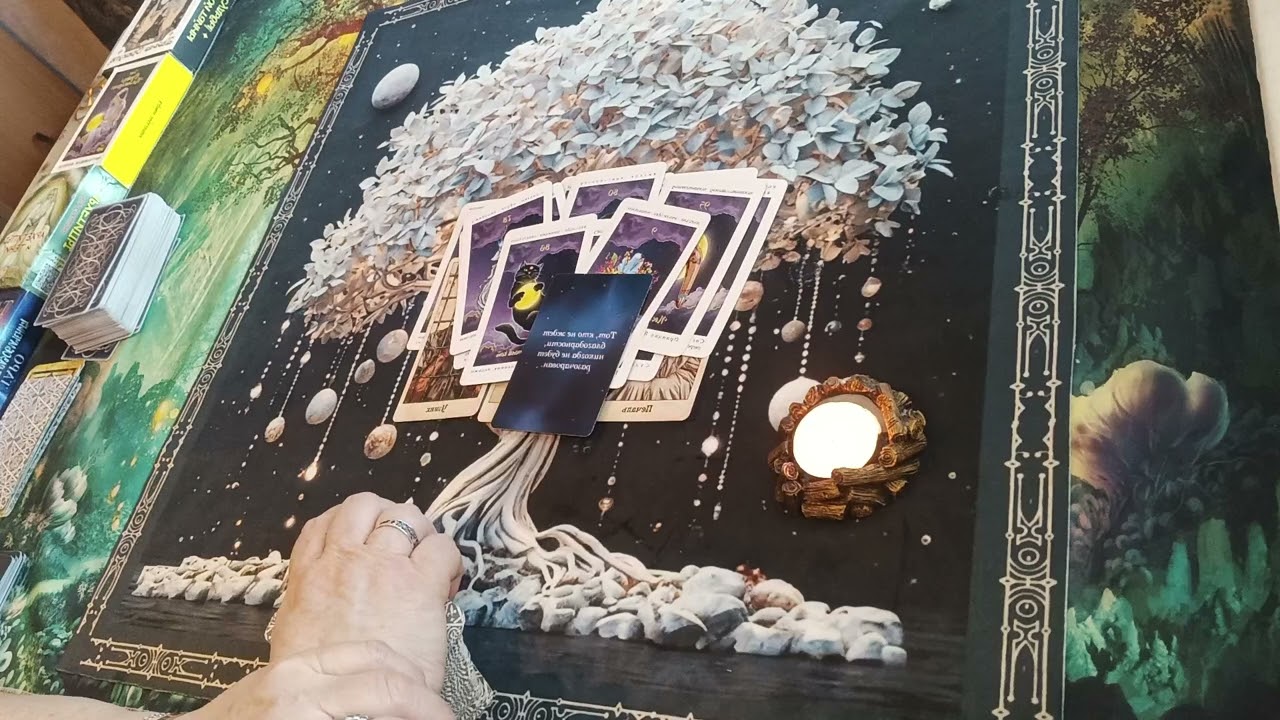 Перезагрузка 🗝️🕊️ Куда дальше 🕵️❓ 📚⚖️