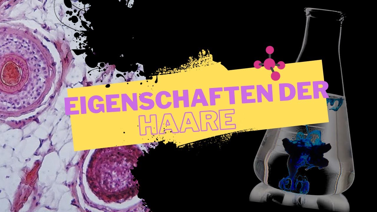 Eigenschaften der Haare - Lernfeld 6: Frisuren gestalten - für Friseure
