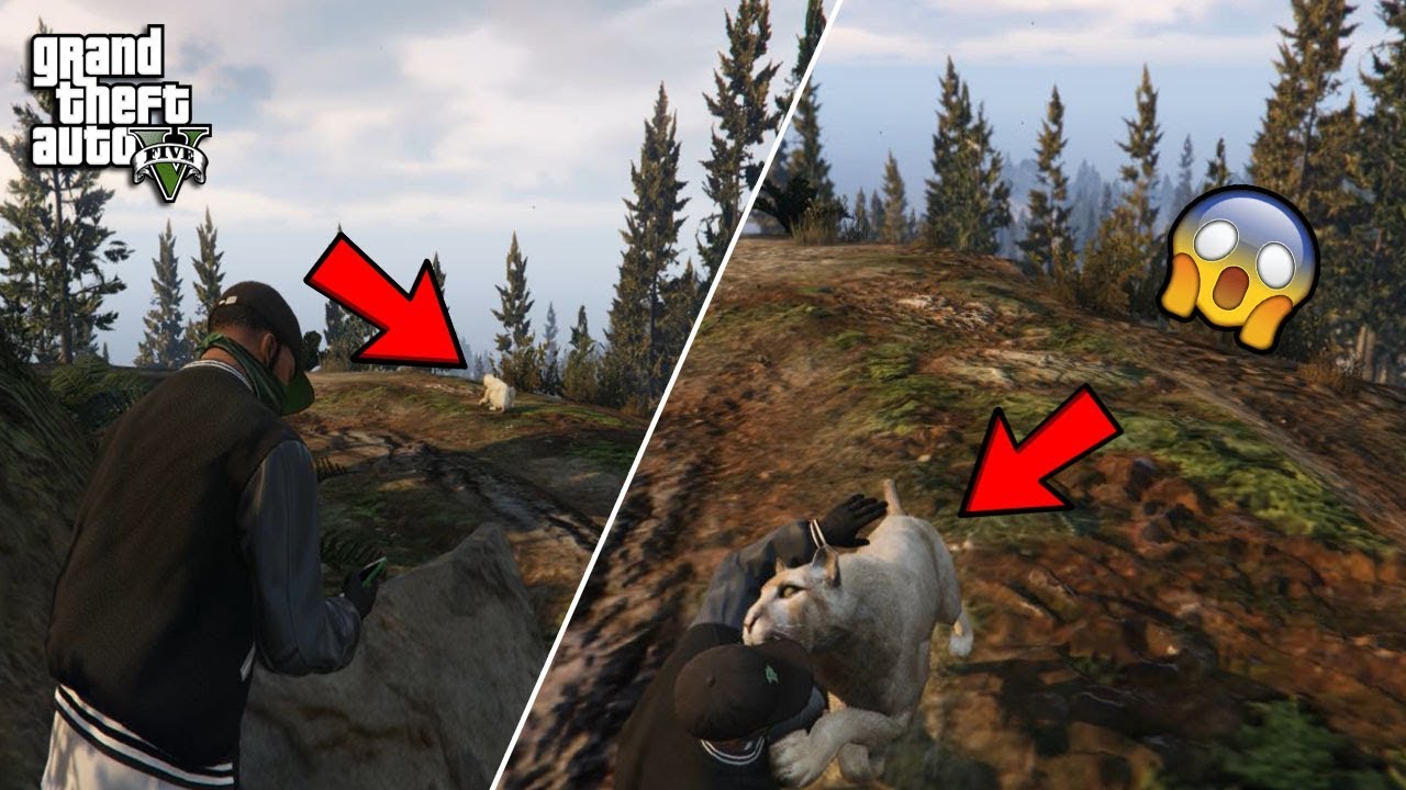 APA YANG TERJADI JIKA FRANKLIN MENGAMBIL 20 FOTO HEWAN INI ? | GTA 5 WILDLIFE PHOTOGRAPHY CHALLENGE