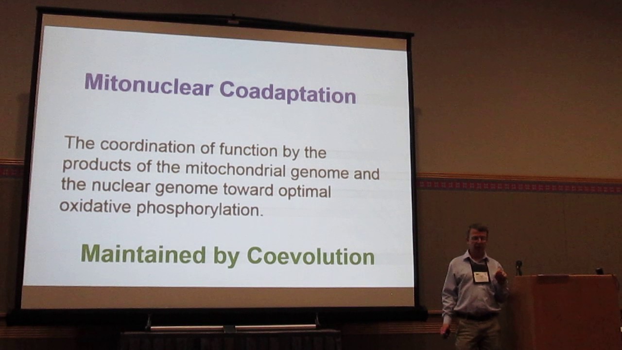 Hill: The mitonuclear compatibility species concept