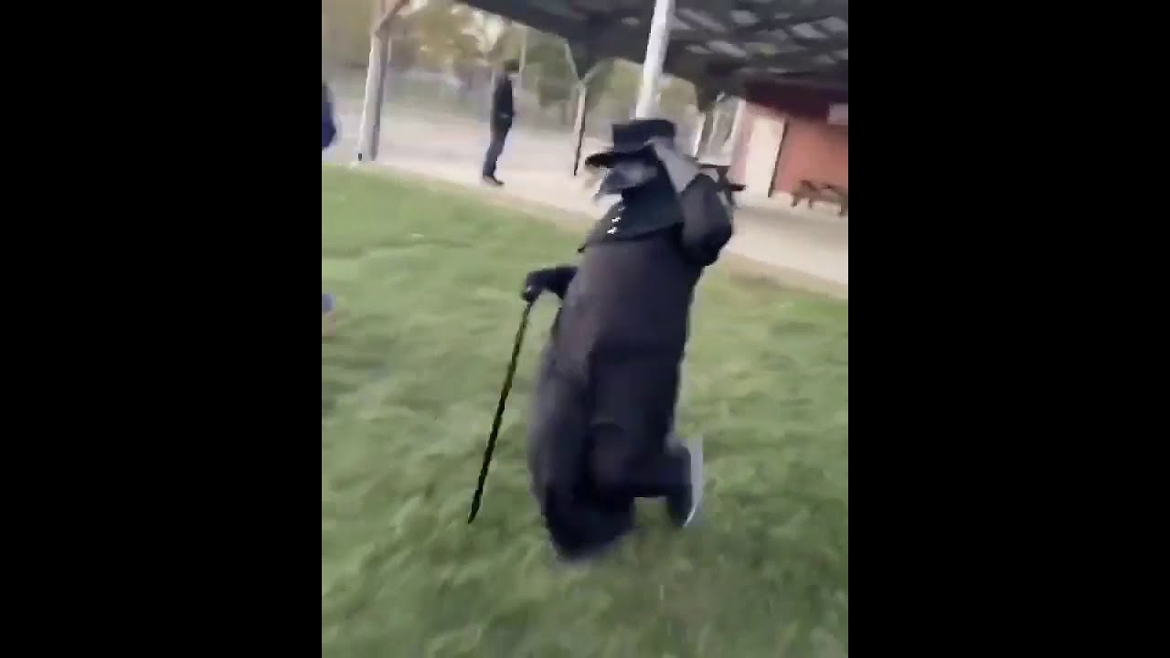 meme doctor peste negra bailando cl&aacute;sicos de 1490