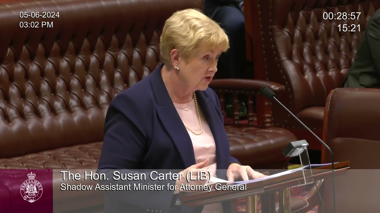 Limitation and Civil Liability Amendment Permanent Stays Bill 2024