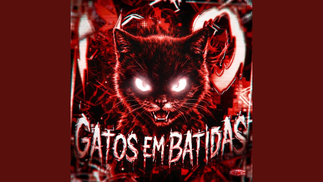 GATOS EM BATIDAS (SLOWED)