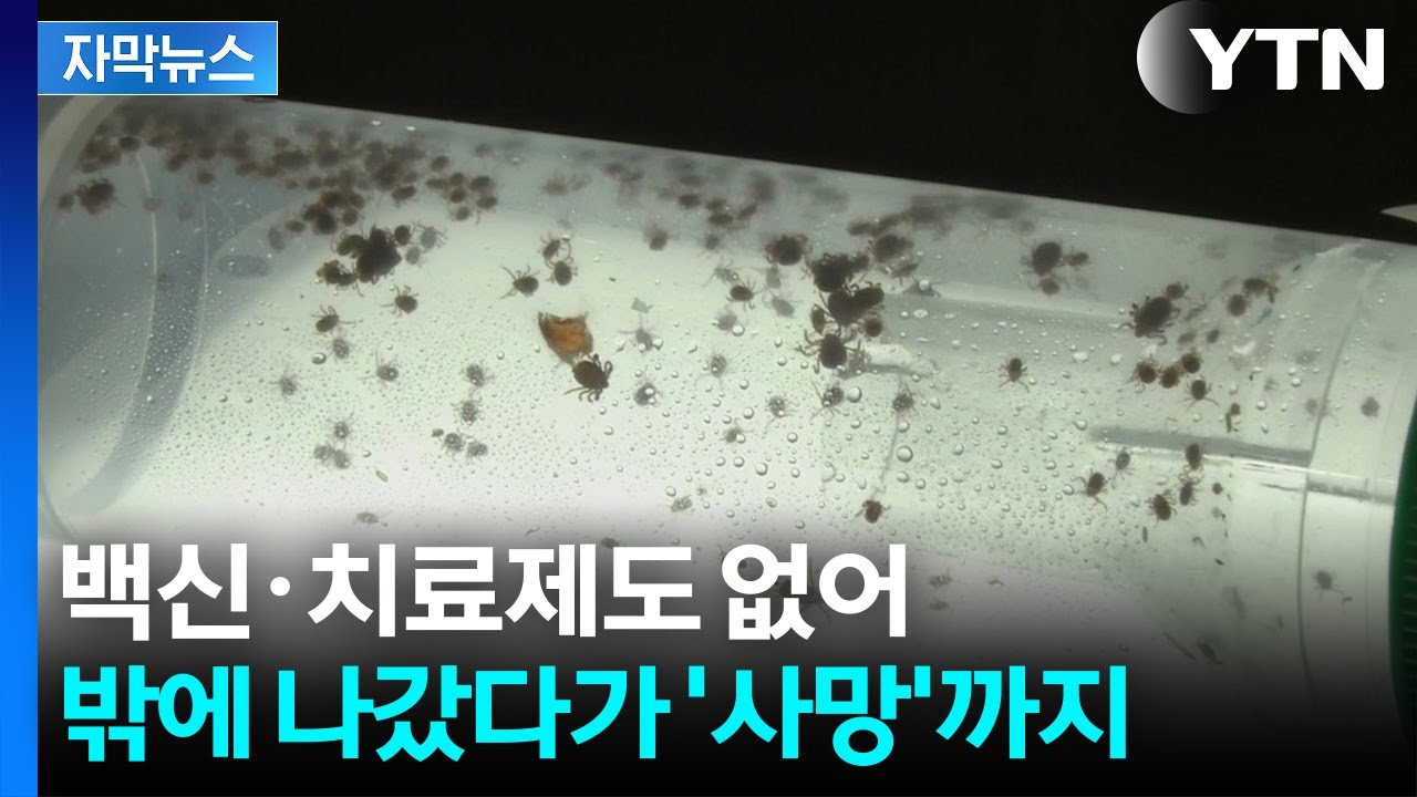 [자막뉴스] 고열&middot;오한&middot;검은 딱지까지...공포의 감염병 주의보 / YTN