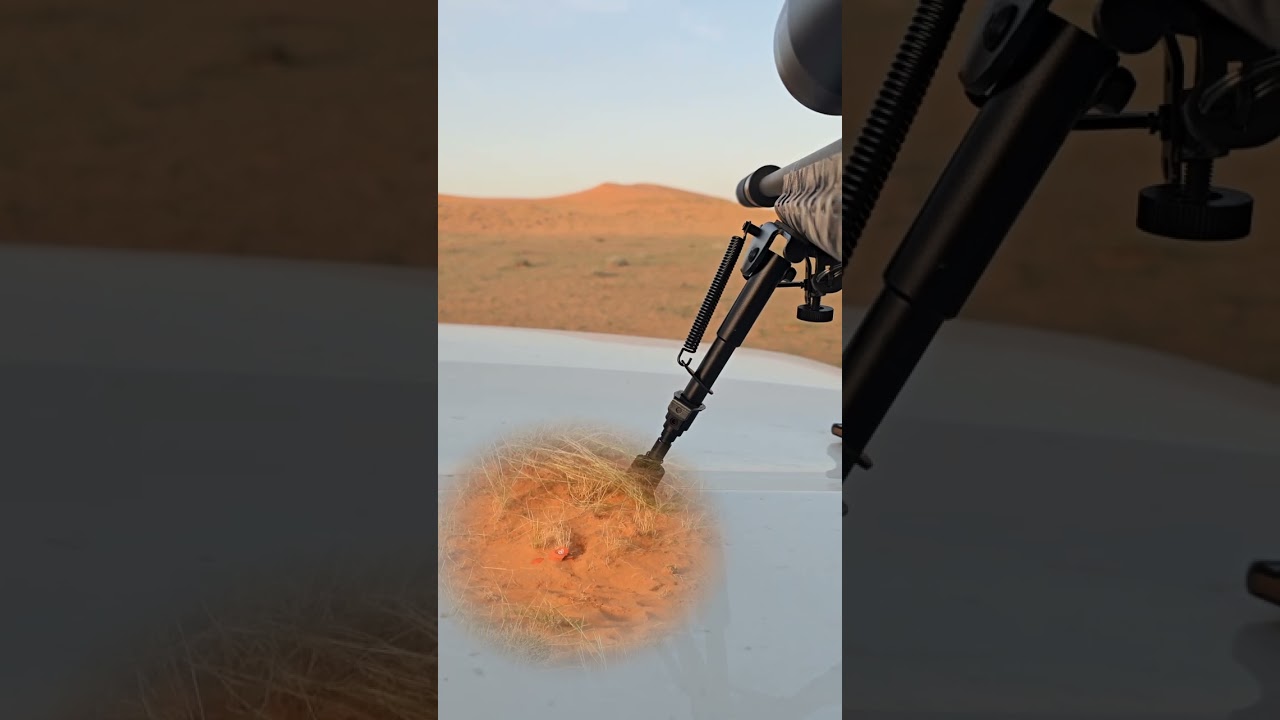 شوف كيف رماية 243 متر 🔥 همر 17 روجر هورنادي | Ruger 17 HMR Hornady