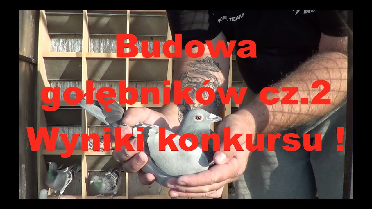 Budowa gołębników cz 2 + wyniki konkursu - Morel Team